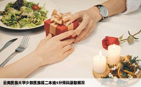 云南民族大学少数民族超二本线5分预科录取概况
