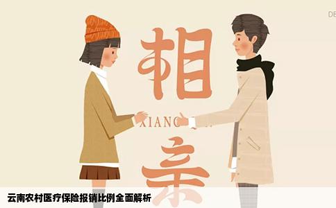 云南农村医疗保险报销比例全面解析