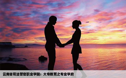 云南省司法警官职业学院：大专教育之专业学府