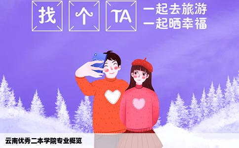 云南优秀二本学院专业概览