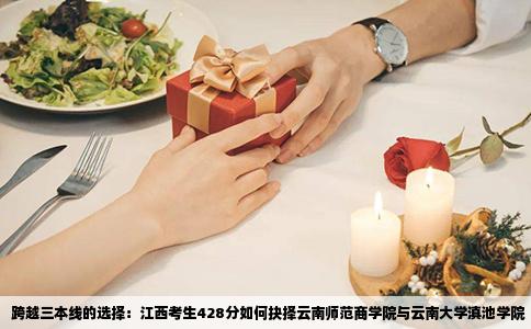 跨越三本线的选择：江西考生428分如何抉择云南师范商学院与云南大学滇池学院