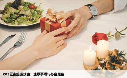 Z03云南旅游攻略：注意事项与必备准备