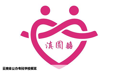 云南省公办专科学校概览