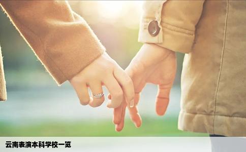 云南表演本科学校一览