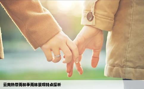 云南热带雨林季雨林景观特点探析