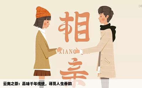 云南之茶：品味千年传统，寻觅人生香韵