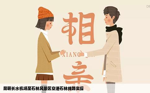 昆明长水机场至石林风景区空港石林线路实探