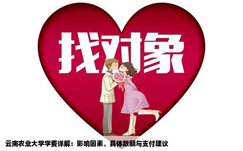 云南农业大学学费详解：影响因素、具体数额与支付建议