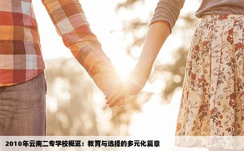 2010年云南二专学校概览：教育与选择的多元化篇章