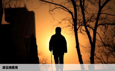 游云南费用