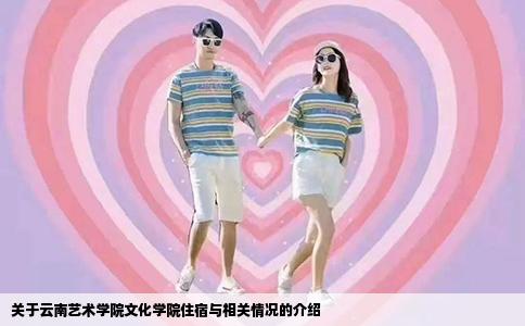 关于云南艺术学院文化学院住宿与相关情况的介绍