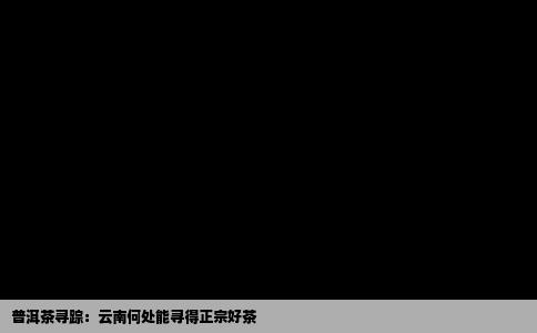 普洱茶寻踪：云南何处能寻得正宗好茶