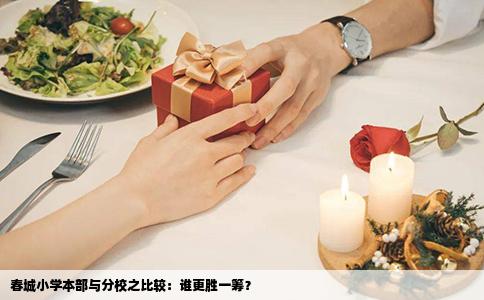 春城小学本部与分校之比较：谁更胜一筹？