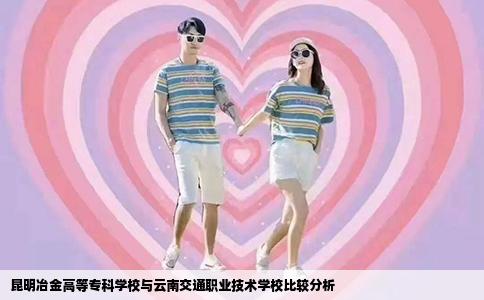 昆明冶金高等专科学校与云南交通职业技术学校比较分析