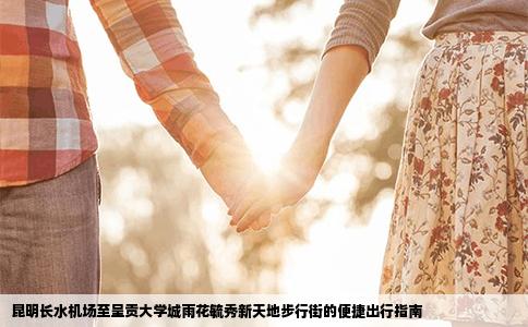 昆明长水机场至呈贡大学城雨花毓秀新天地步行街的便捷出行指南