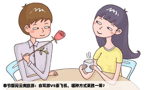 春节期间云南旅游：自驾游VS乘飞机，哪种方式更胜一筹？