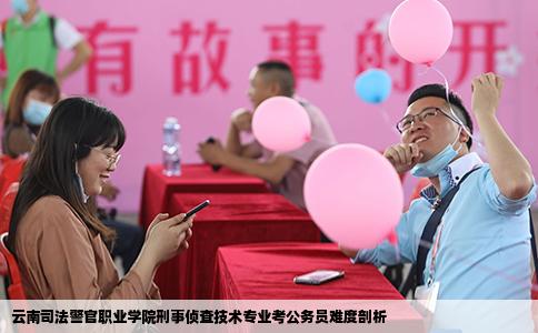云南司法警官职业学院刑事侦查技术专业考公务员难度剖析