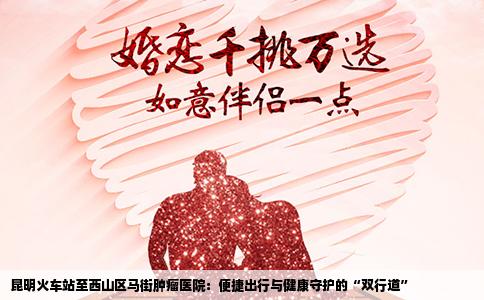 昆明火车站至西山区马街肿瘤医院：便捷出行与健康守护的“双行道”