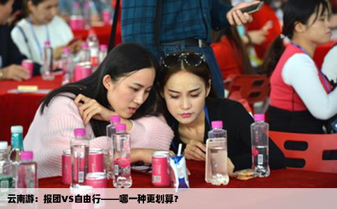 云南游：报团VS自由行——哪一种更划算？