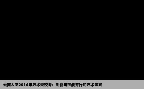 云南大学2016年艺术类校考：创新与挑战并行的艺术盛宴