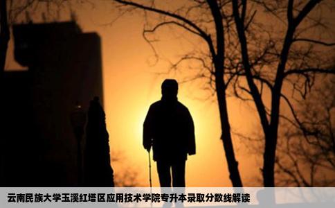 云南民族大学玉溪红塔区应用技术学院专升本录取分数线解读