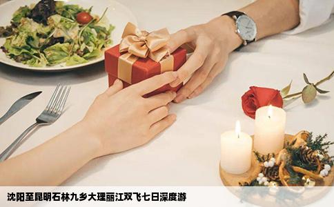 沈阳至昆明石林九乡大理丽江双飞七日深度游