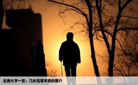 云南大学一览：几所高等学府的简介