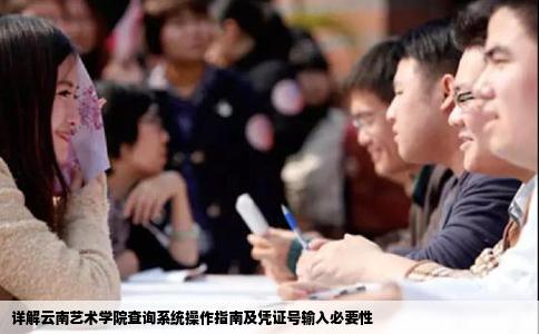 详解云南艺术学院查询系统操作指南及凭证号输入必要性