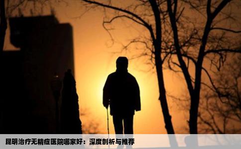 昆明治疗无精症医院哪家好：深度剖析与推荐