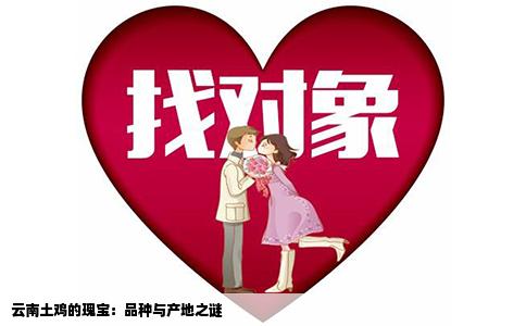 云南土鸡的瑰宝：品种与产地之谜