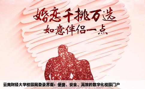 云南财经大学校园网登录界面：便捷、安全、高效的数字化校园门户